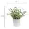 9.25" Premade Eucalyptus in Dotted Ceramic Pot by Ashland®